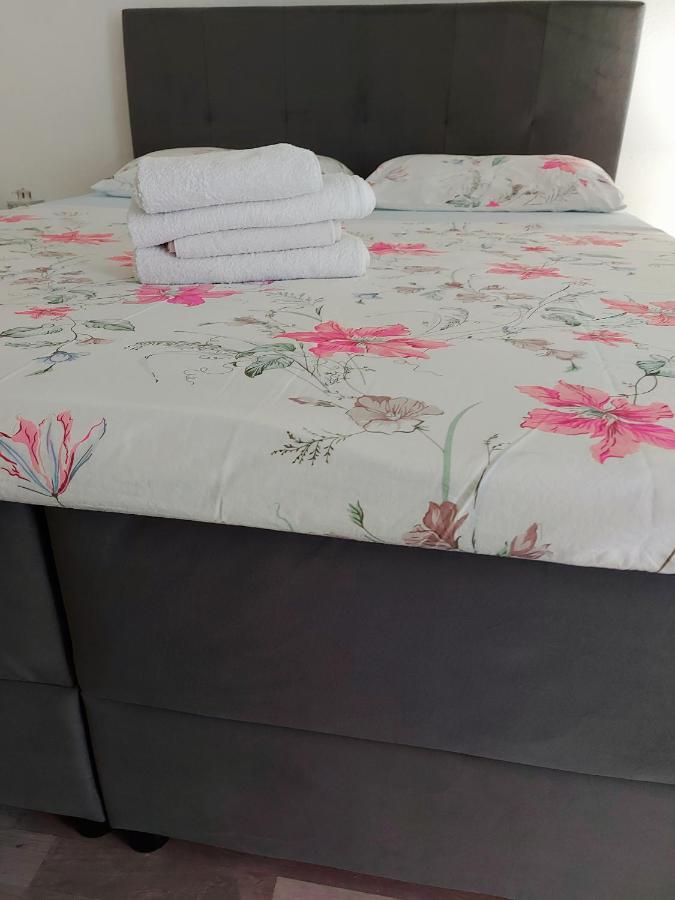 Apartment Ante And Dijana ستاريغغاد باكلينتسا المظهر الخارجي الصورة
