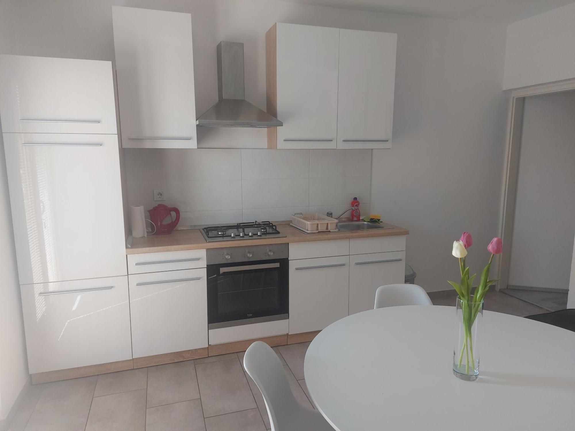 Apartment Ante And Dijana ستاريغغاد باكلينتسا المظهر الخارجي الصورة