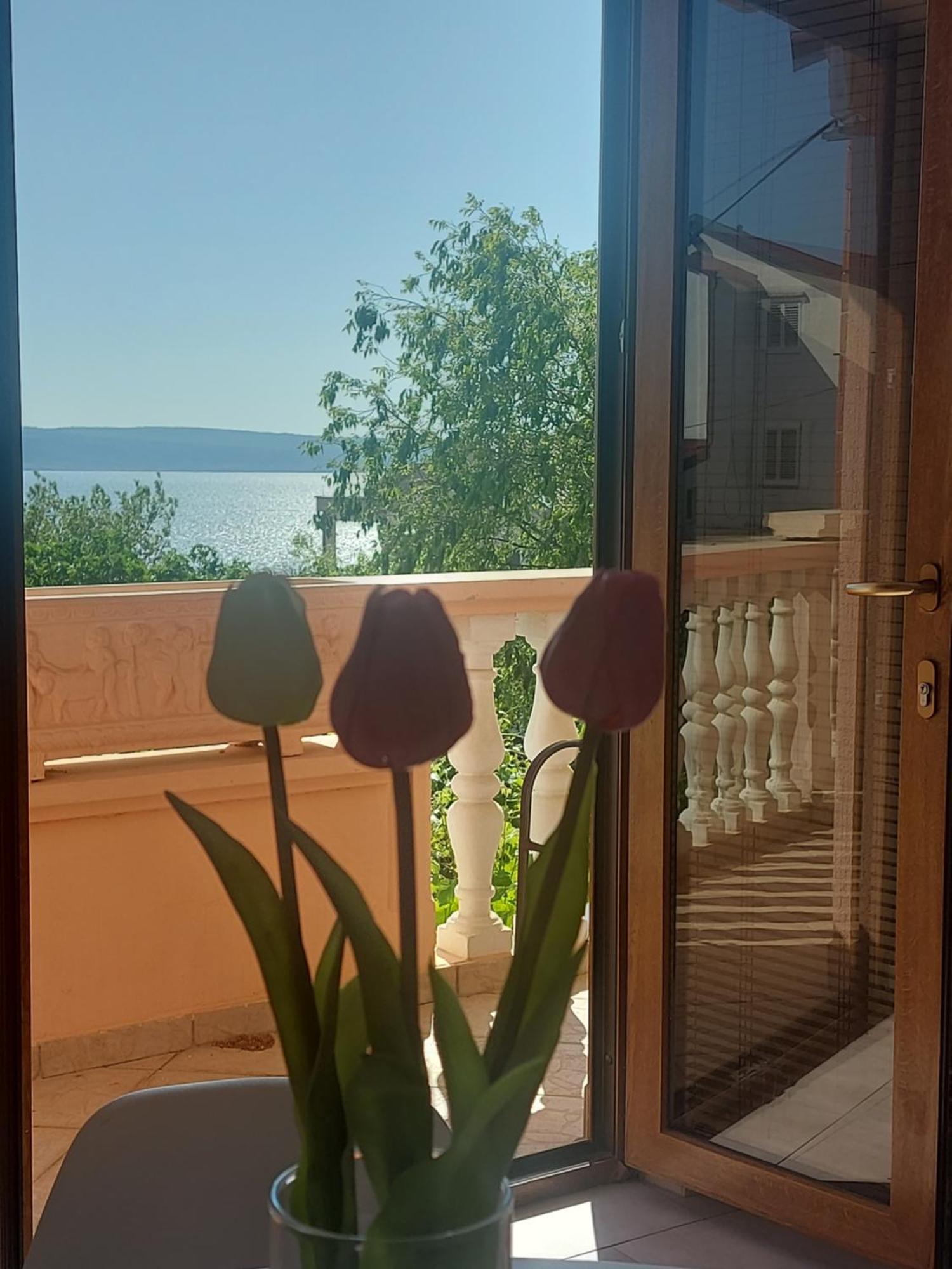 Apartment Ante And Dijana ستاريغغاد باكلينتسا المظهر الخارجي الصورة