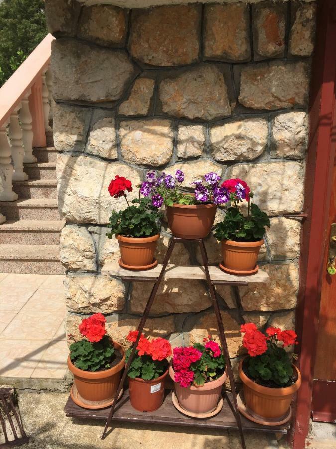 Apartment Ante And Dijana ستاريغغاد باكلينتسا المظهر الخارجي الصورة